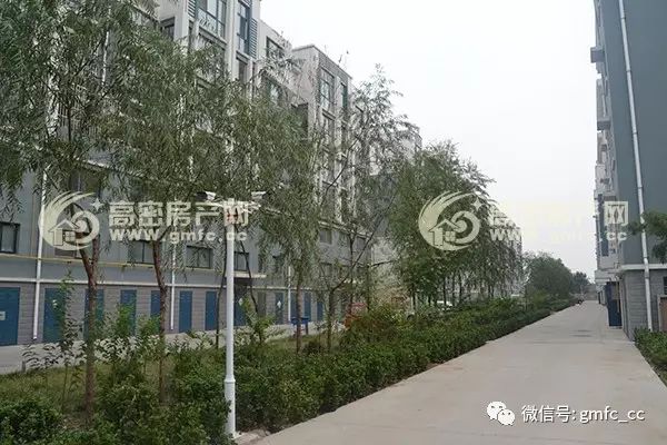 襄阳成工工程机械 第303页