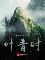叶青的故事，普通人的非凡人生旅程揭秘