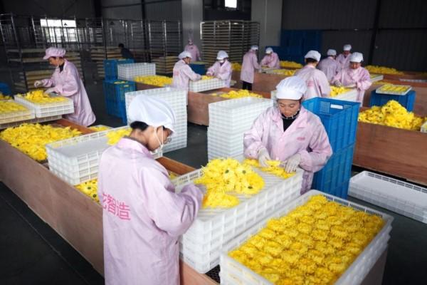 洛阳工程机械协会的职责 第308页