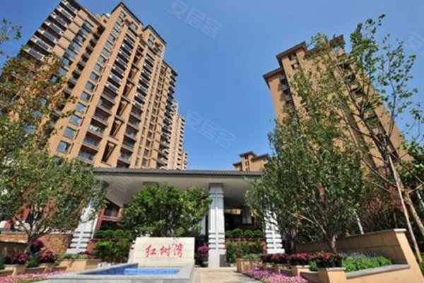 石家庄红树湾最新动态，励志之光引领未来之路发展。