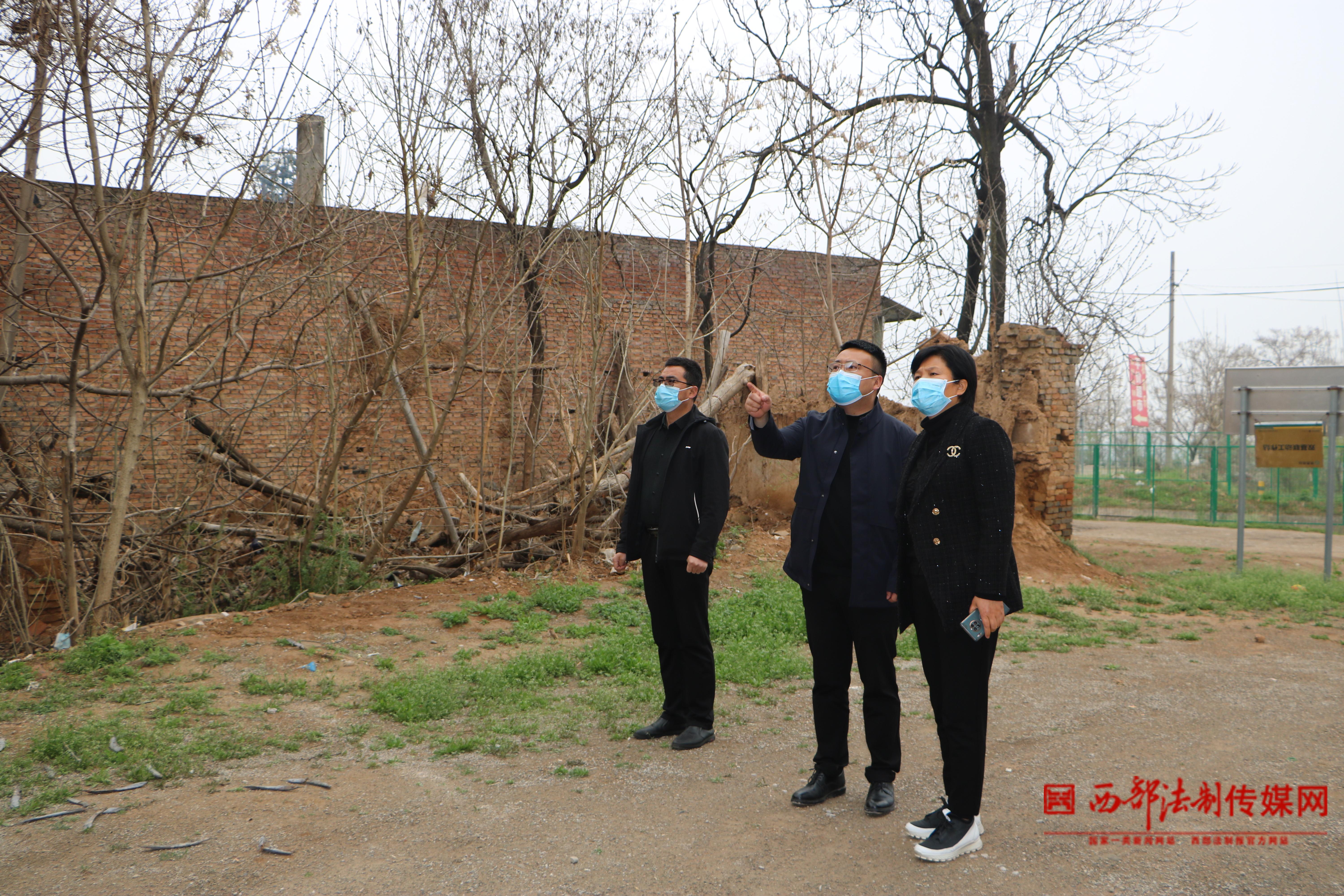 兴平马嵬地区最新新闻报道