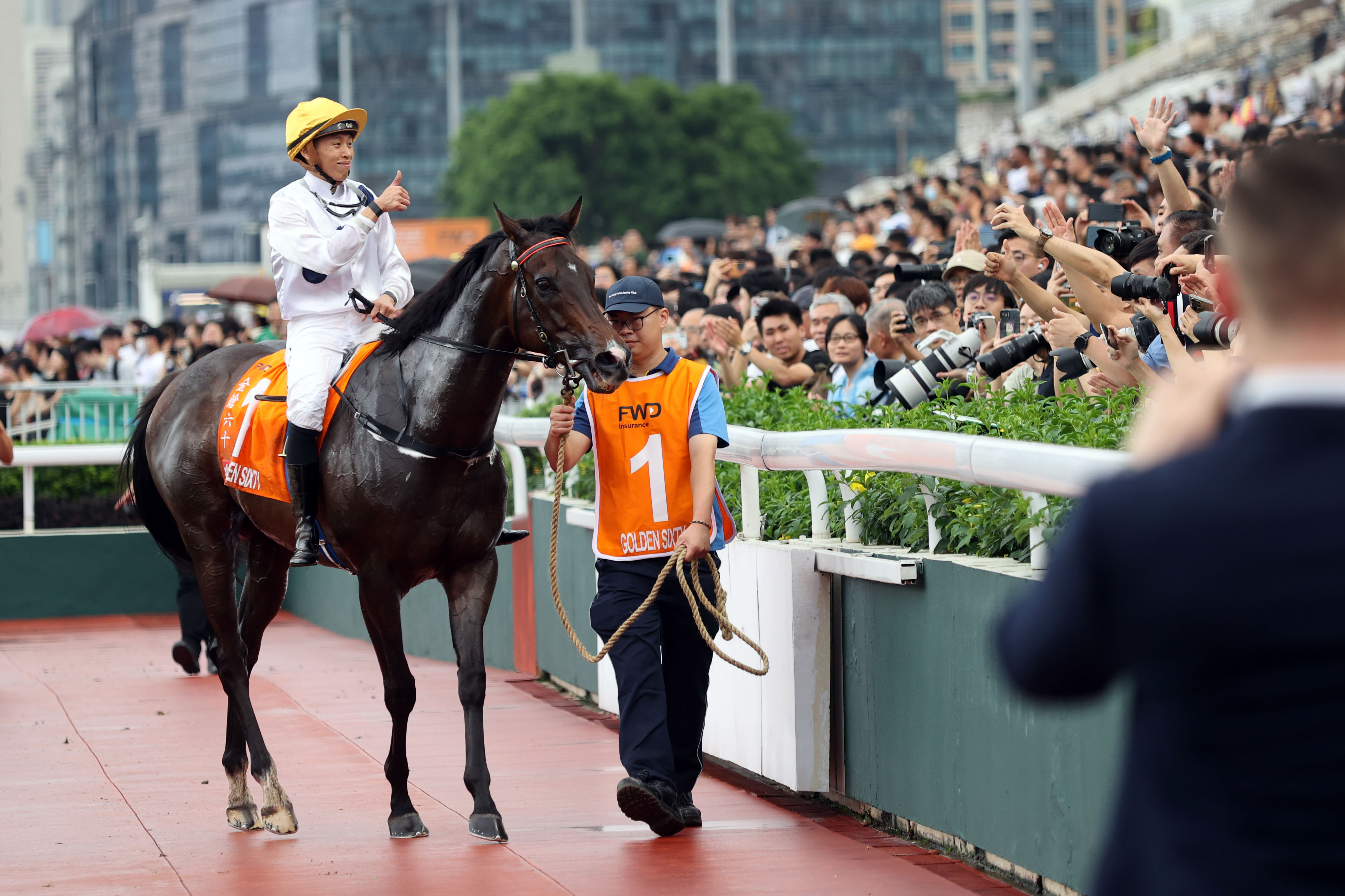 2024香港赛马全年免费资料,持续性实施方案_潮流版54.916