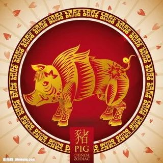 摇钱树四肖八码期期三码必中,时尚法则实现_潮流版49.945