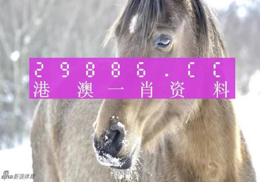 澳门一肖一码100准免费,现况评判解释说法_美学版67.237