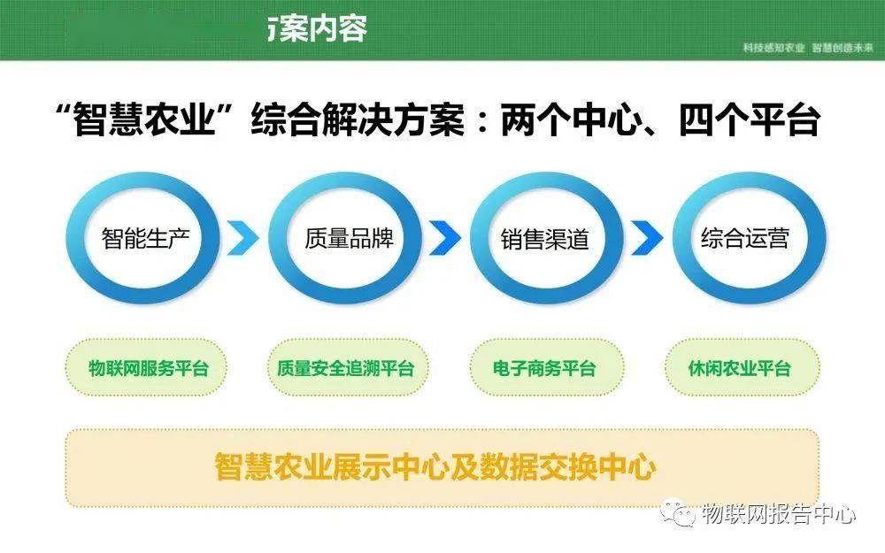 王中王72396网站,稳固执行方案计划_后台版93.379