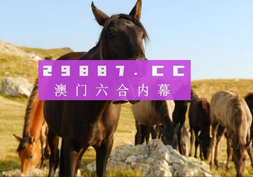 管家婆2024澳门免费资格,即时解答解析分析_探索版33.974