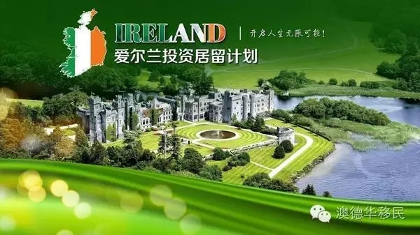 爱尔兰移民，家的温馨与友情的交织