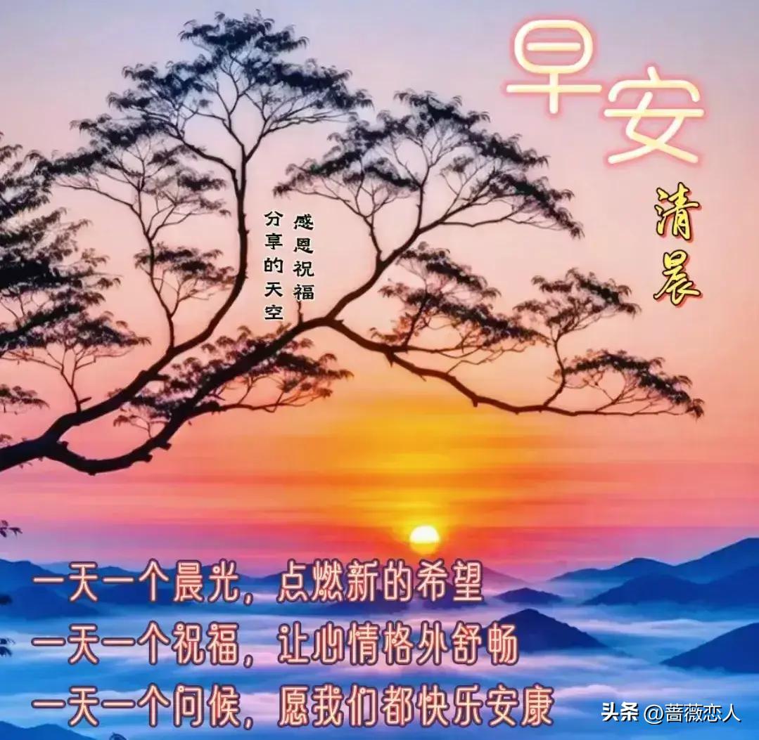 工程机械设备价格 第277页