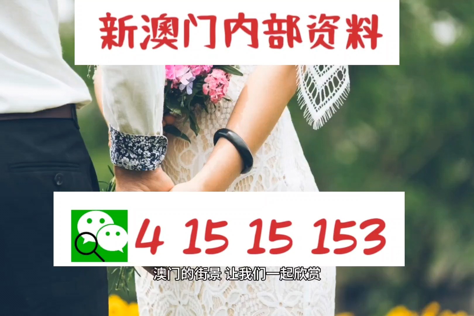 2024澳门正版免费资本图库,多元化诊断解决_创意设计版40.395