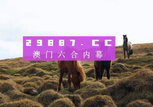 2024澳门特马今晚开奖亿彩网,科技成果解析_运动版23.635