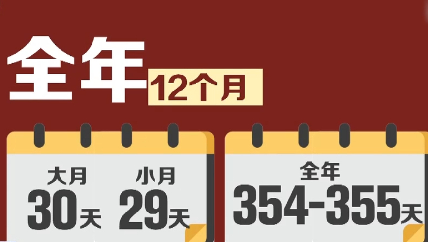 2024雷锋心水网论坛,释意性描述解_定制版62.473