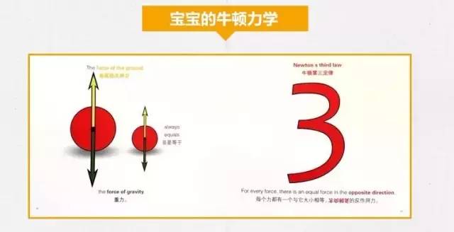襄阳成工工程机械 第217页