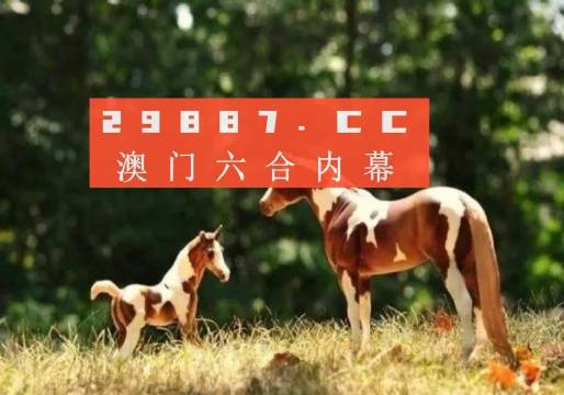 2024澳门最精准跑狗图,统计信息解析说明_家居版3.570