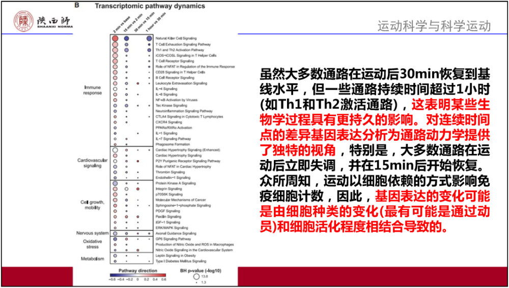 新澳精准资料大全免费,现况评判解释说法_活力版29.461