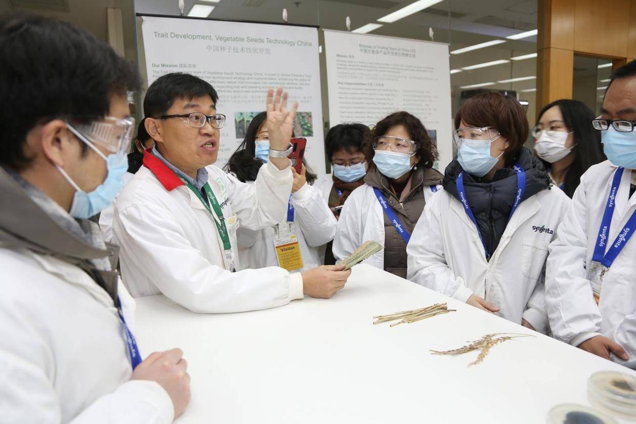 最新国产大豆动态更新消息📣🌱
