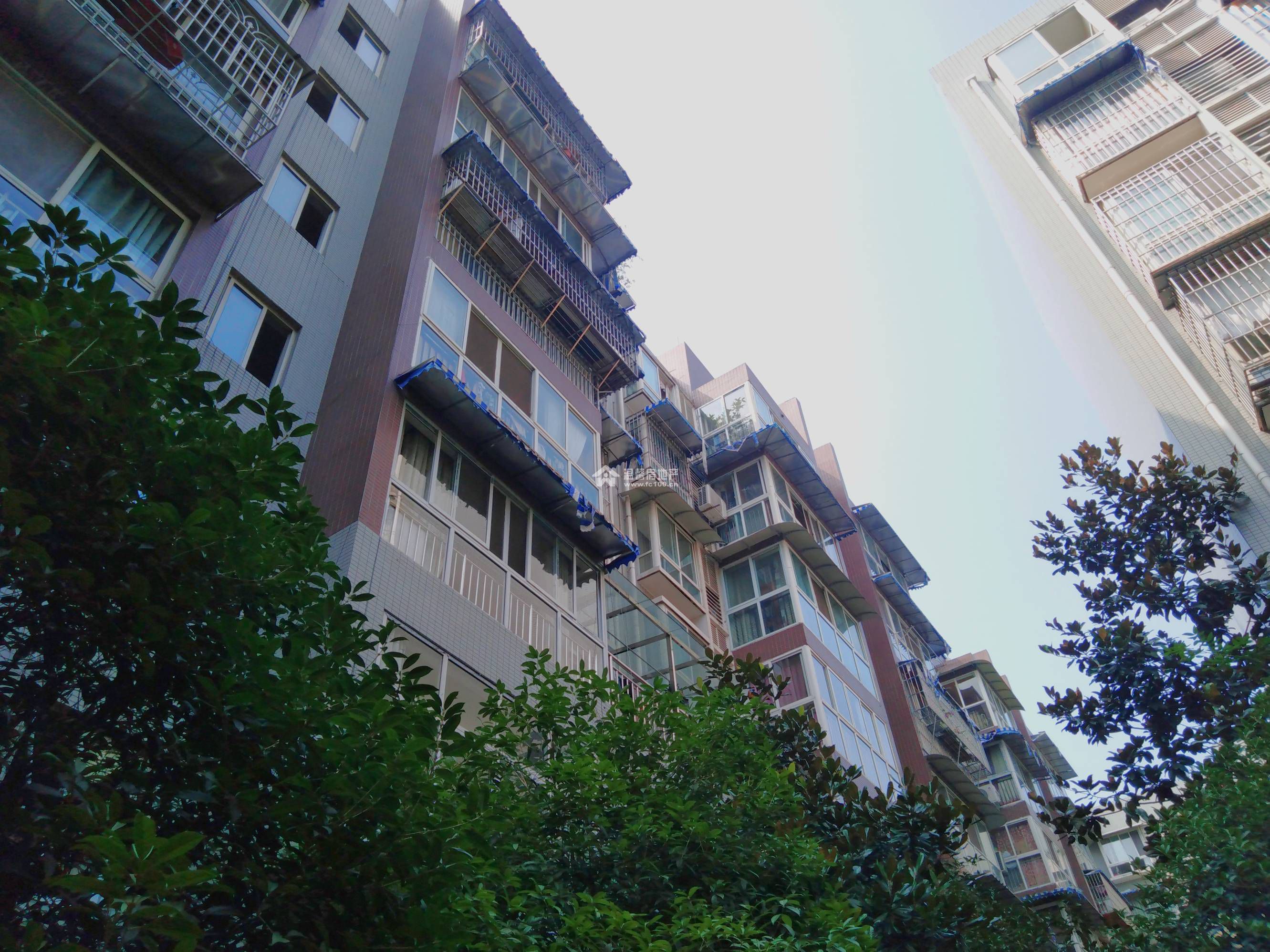 武汉最新逸景，高科技产品的革新之旅探索