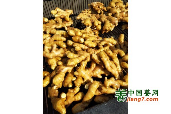 襄阳成工工程机械 第166页