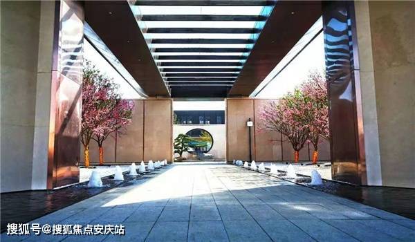 弁林翰最新动态，学习之旅中的变化与自信成就之源
