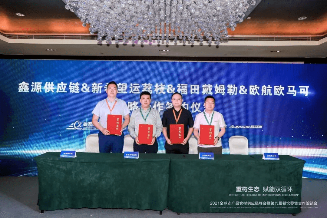 2024年新澳门王中王,快速解决方式指南_时刻版69.912