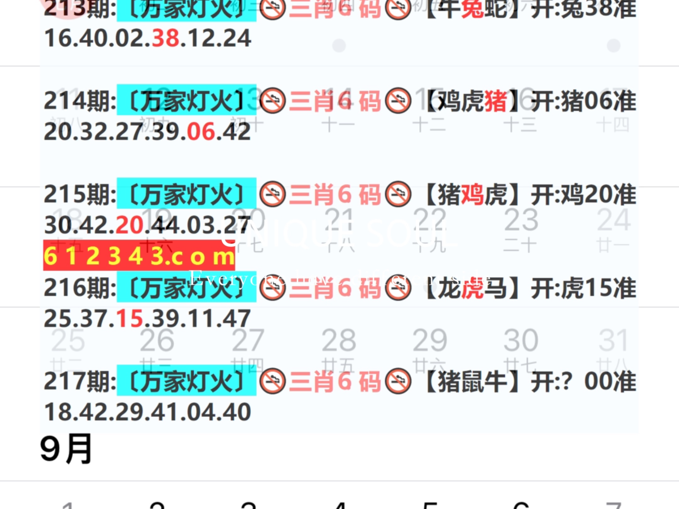 新奥2024一肖一码,深度研究解析_硬件版82.945