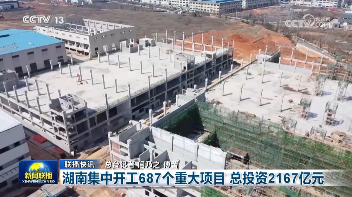 新澳2024天天正版资料大全,实时更新解释介绍_随行版81.687