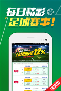 2024澳门天天开好彩大全162,高效执行方案_神器版63.747