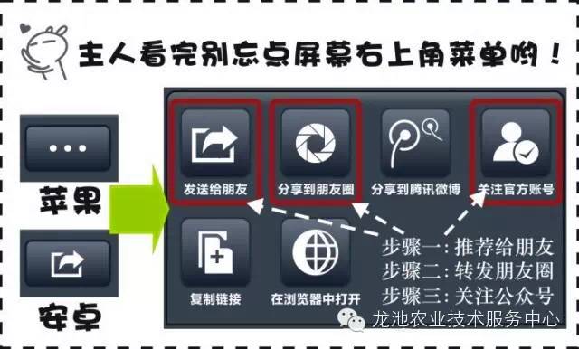 新奥门特免费资料大全火凤凰,专业调查具体解析_精选版16.756