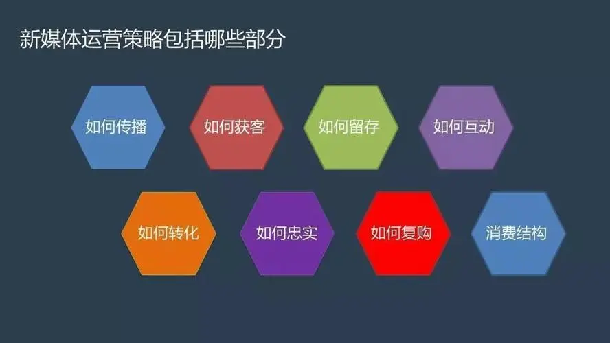 濠江论坛一肖一马,稳固执行战略分析_活动版3.867