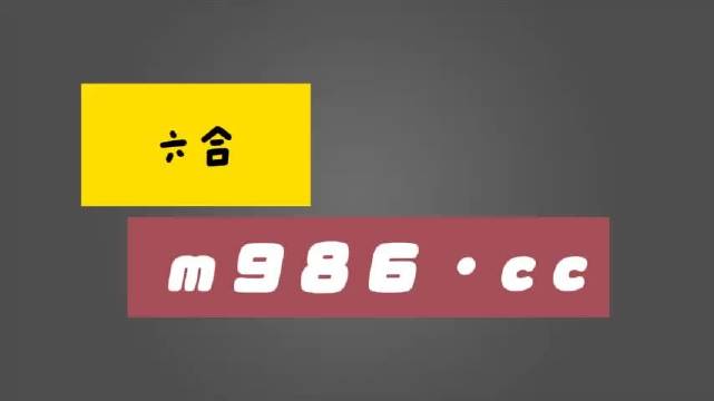 白小姐四肖八码其其准,实地验证实施_管理版44.681