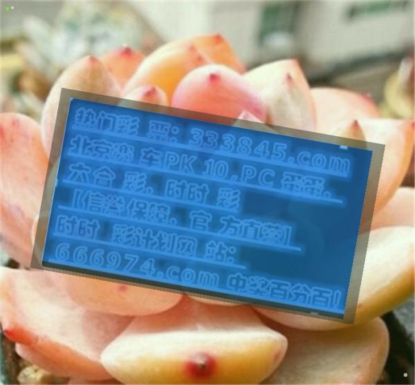 襄阳成工工程机械 第114页