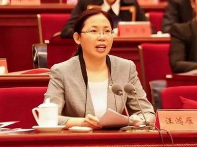 团中央汪鸿雁最新动态揭秘，探寻小巷中的隐藏美食宝藏之旅