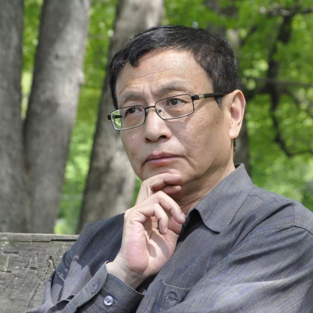 逆境重生与逆袭，弃少归来风采再现的故事