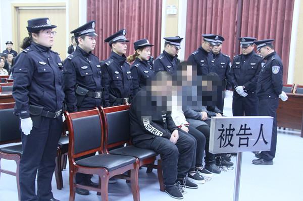 最新犯罪案件详解，应对与防范的实用指南
