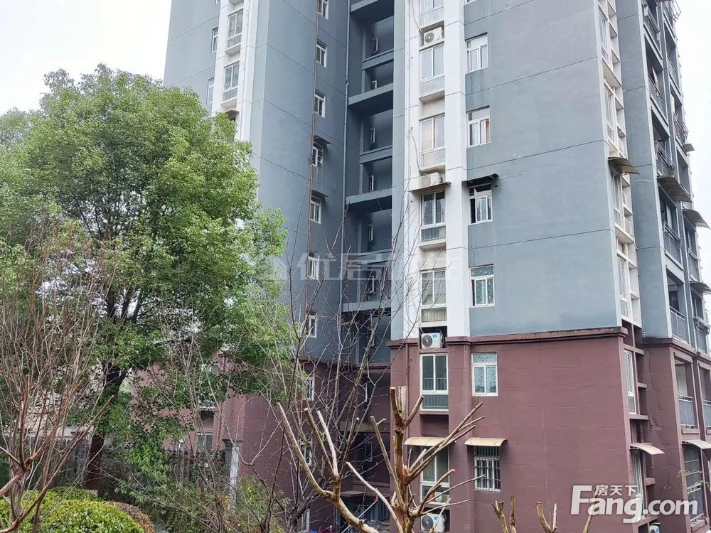 民佳家园持续打造理想居住环境，最新动态与进步展望