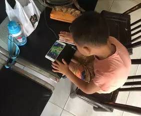 小学生最新新闻，自信与成就感的种子在学习土壤中生根发芽