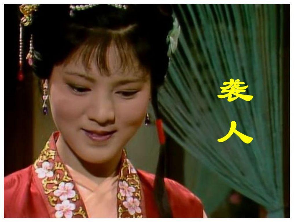 怡红院官方网站，绽放的虚拟世界之花