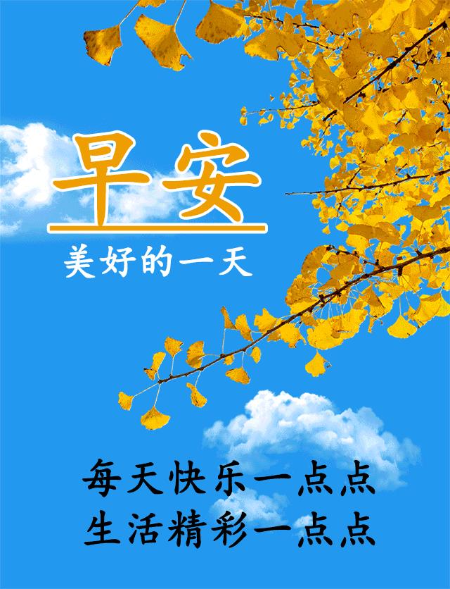 最新动态圈，科技重塑生活，感受未来之光的新体验