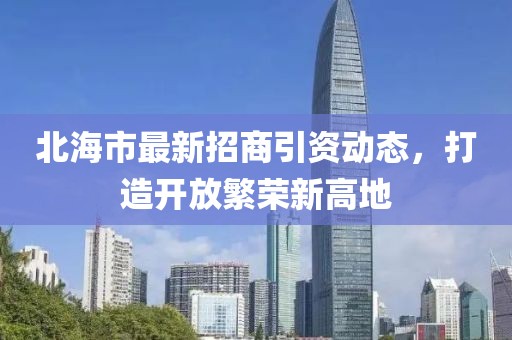 北海市招商引资政策解析，政策下的温馨故事展望