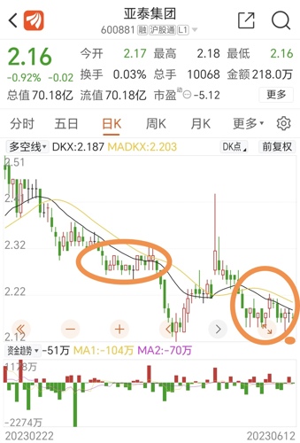 亚泰集团股票股吧,亚泰集团股票股吧，小巷深处的独特风味