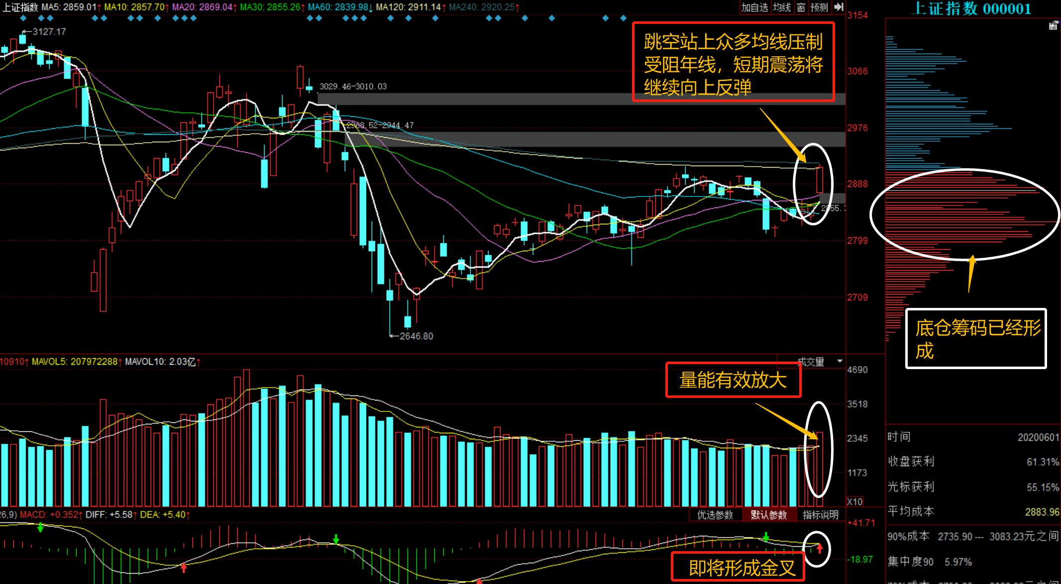 002409股票行情深度分析