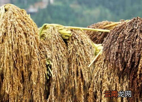 襄阳成工工程机械 第59页