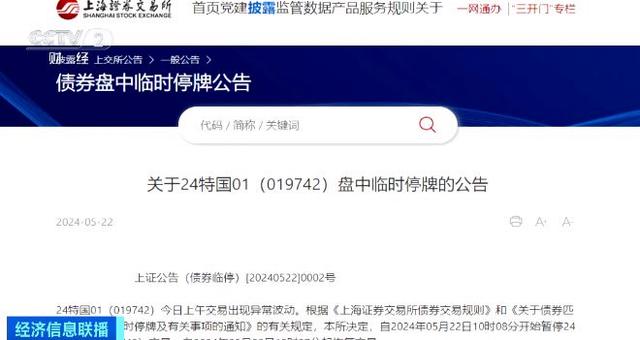 暂停上市债,暂停上市债，一段温馨的日常趣事