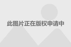 你好乔安，星光熠熠演员群与人生变化之旅介绍