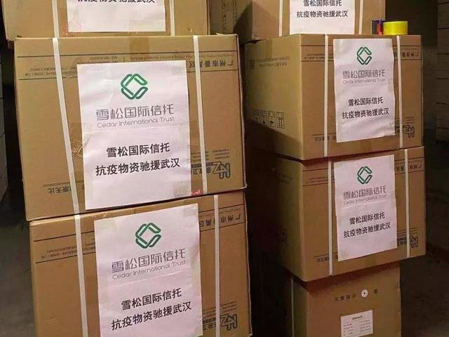 雪松控股集团股票代码，科技巨擘重塑未来，引领新生活潮流的领航者