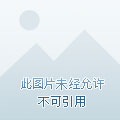 远征远征女演员阵容表
