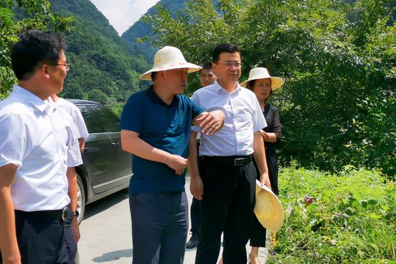 白河县最新领导阵容详解，全新领导团队亮相指南