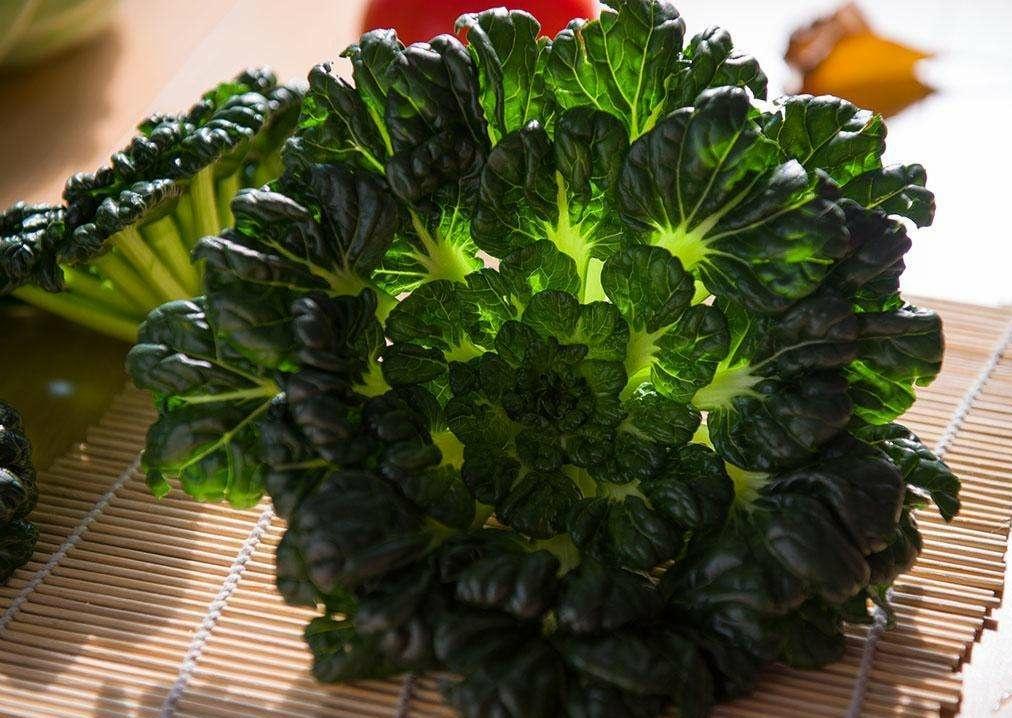 冬季上市蔬菜，如何在生活的寒冬中如蔬菜般蓬勃生长