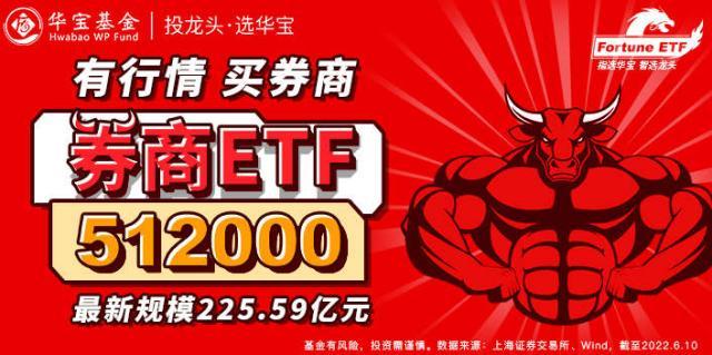 券商股票代码详解，解读与理解指南