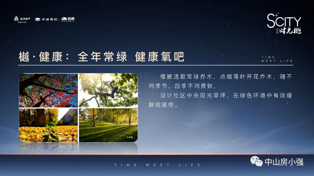 蔡慎坤最新文章,蔡慎坤最新文章，时代之声的再度响起
