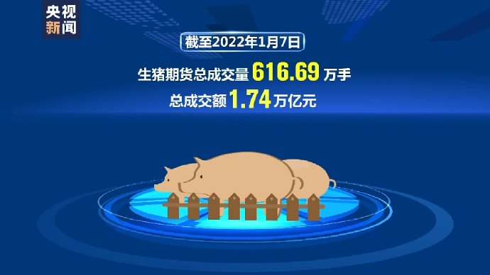 生猪期货动态，心灵与自然的交易之旅